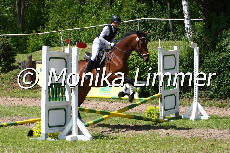 204M5756_Uronia_Spring RWB.JPG